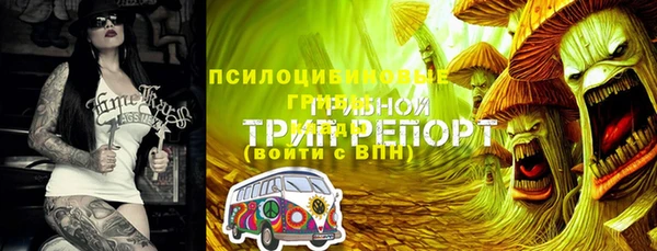 PSILOCYBIN Алексеевка
