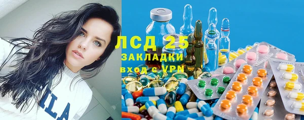 прущие грибы Алексин