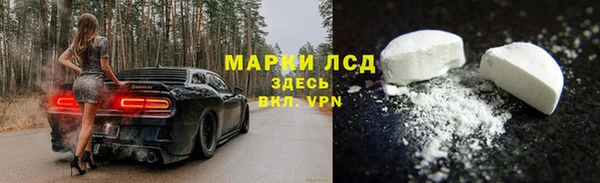 PSILOCYBIN Алексеевка