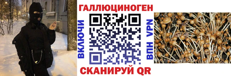 Галлюциногенные грибы мухоморы  Арсеньев 